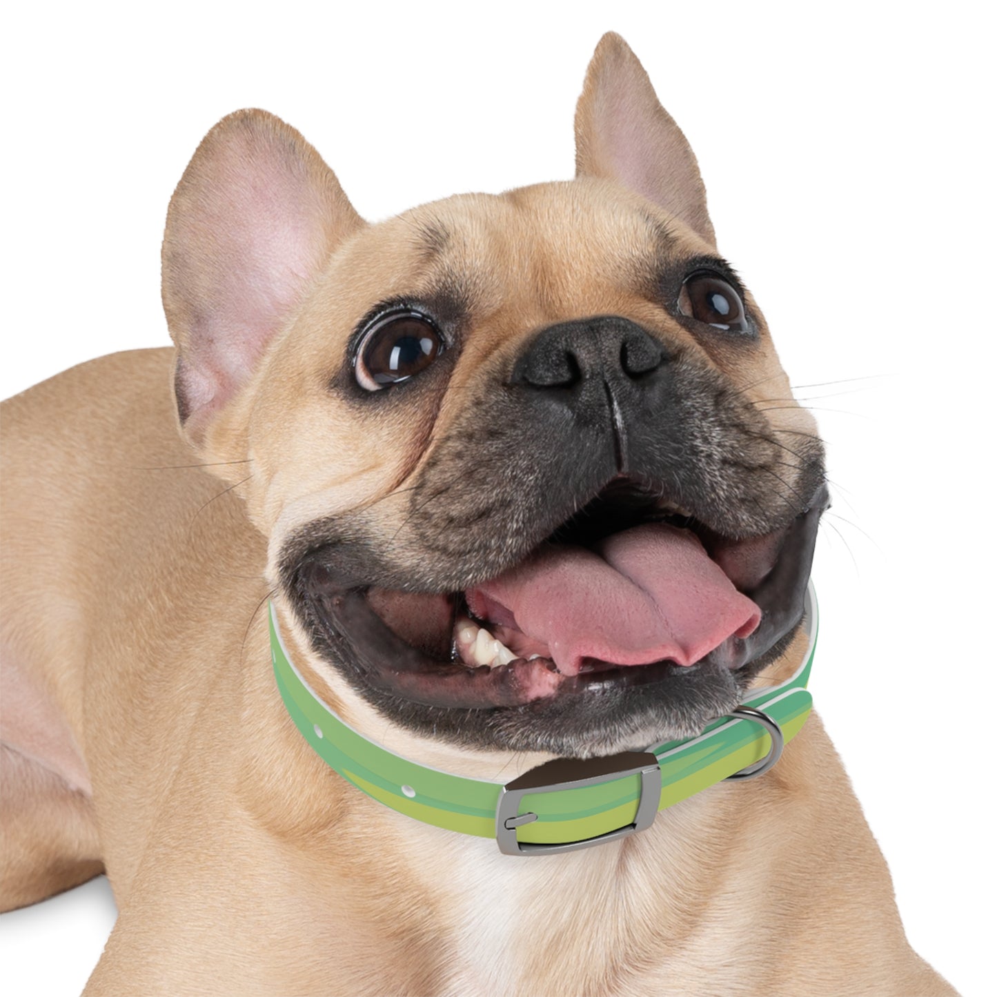 Pastel Green Patches Small Dog Collar