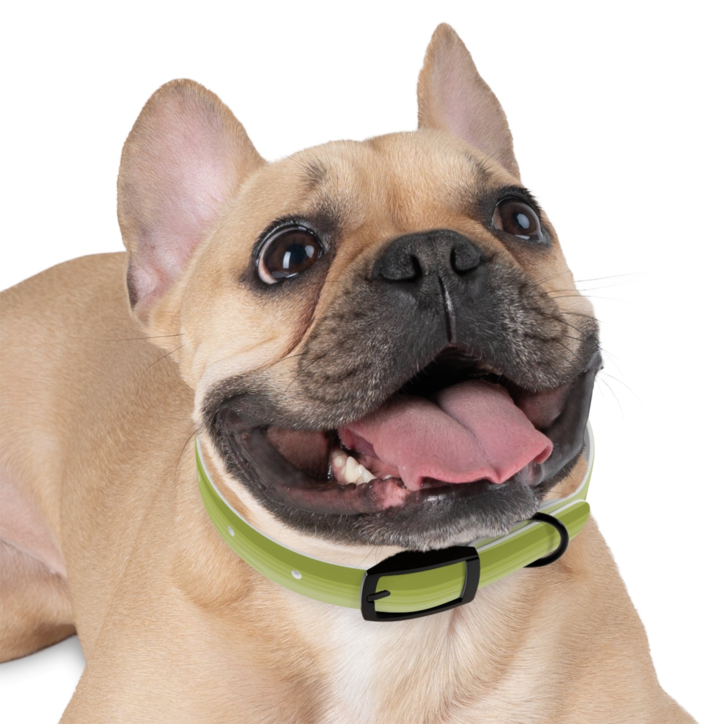Lemon Wavey Small Dog Collar