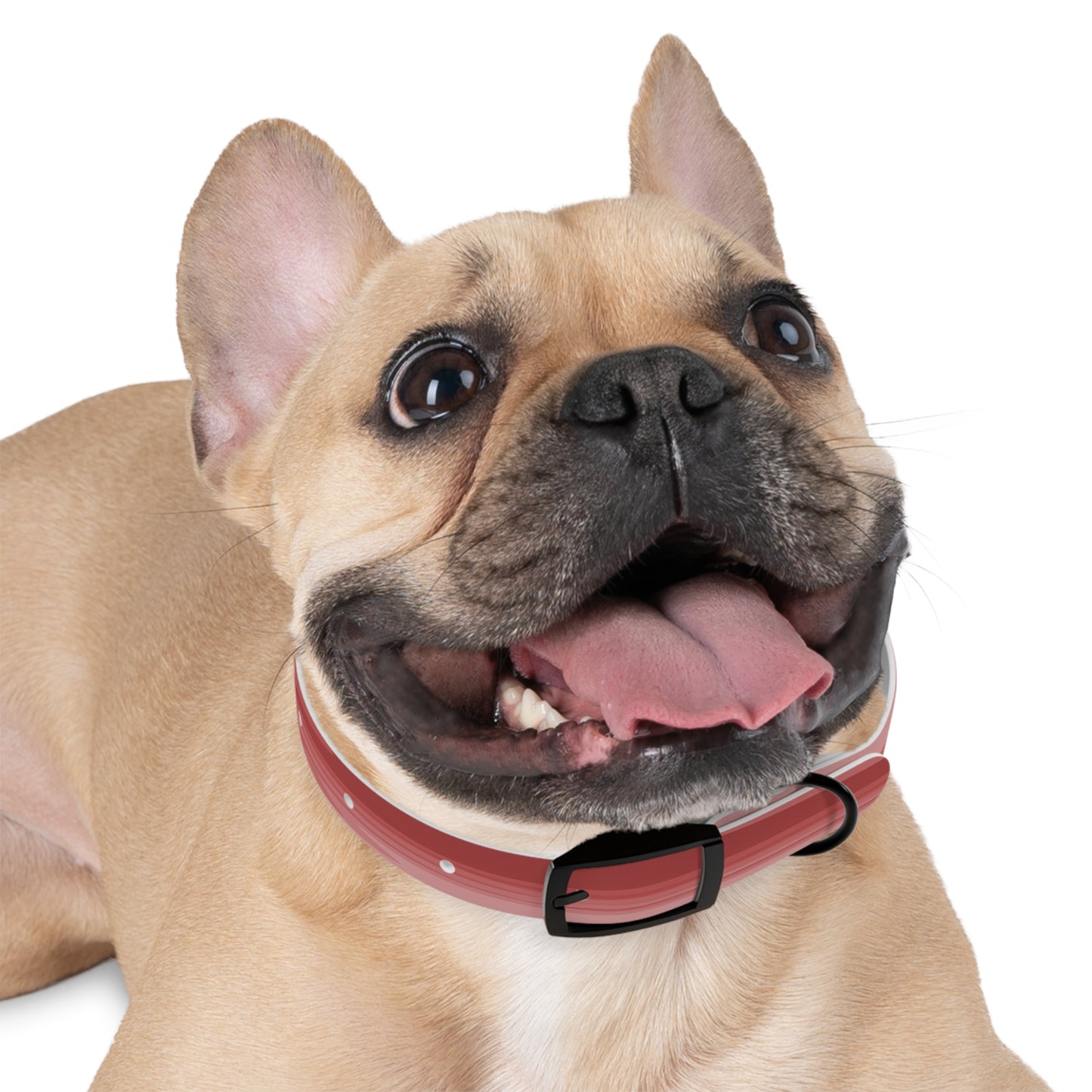Power Red Wavey Small Dog Collar