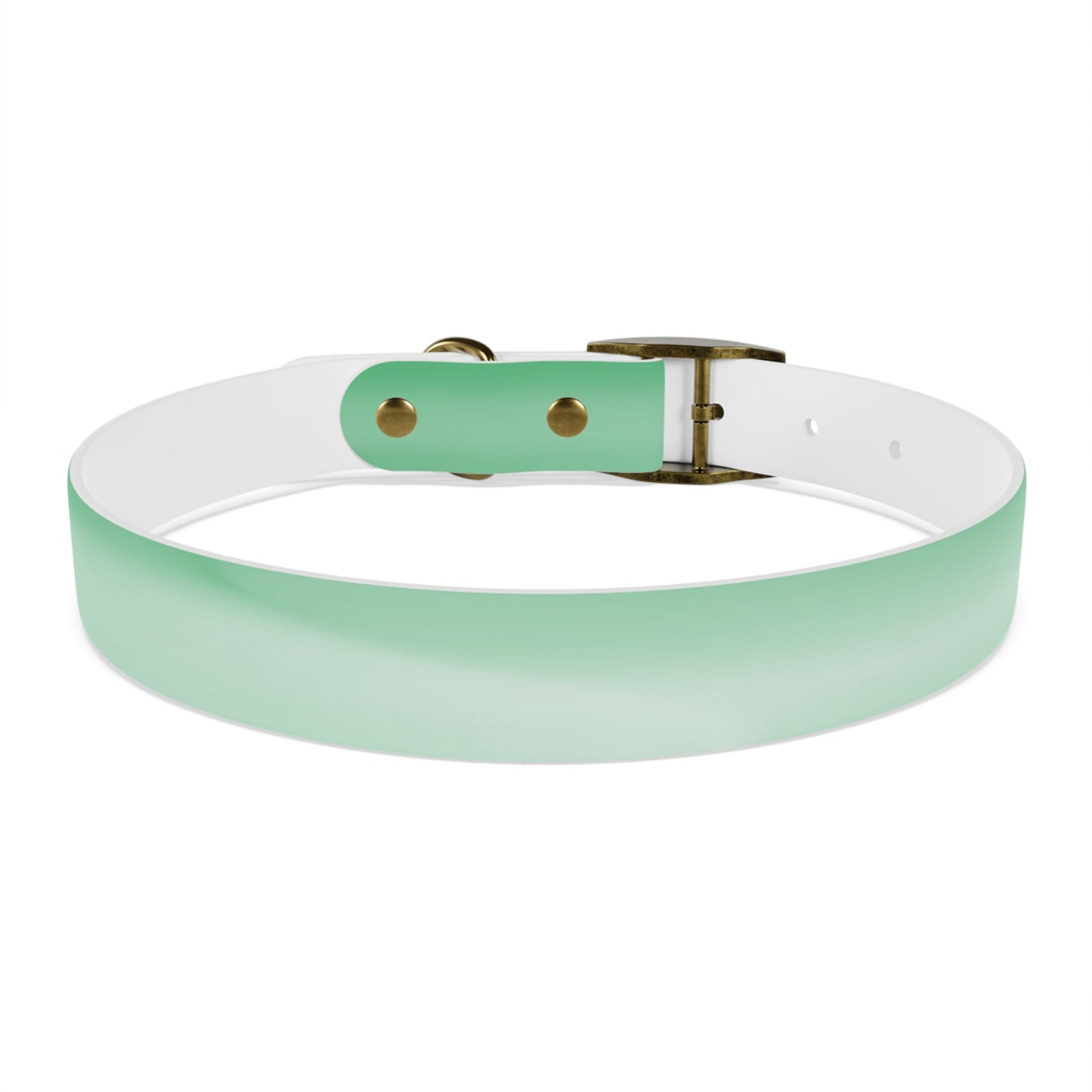 Mint Fade Large Dog Collar