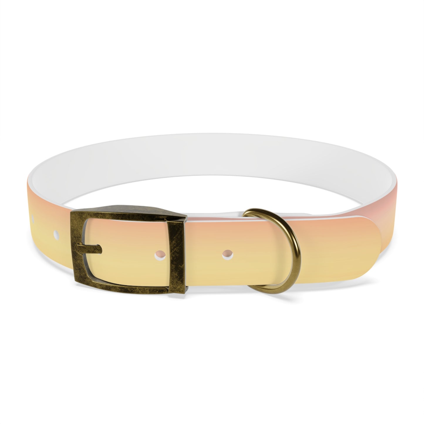 Hot Peach Fade Large Dog Collar