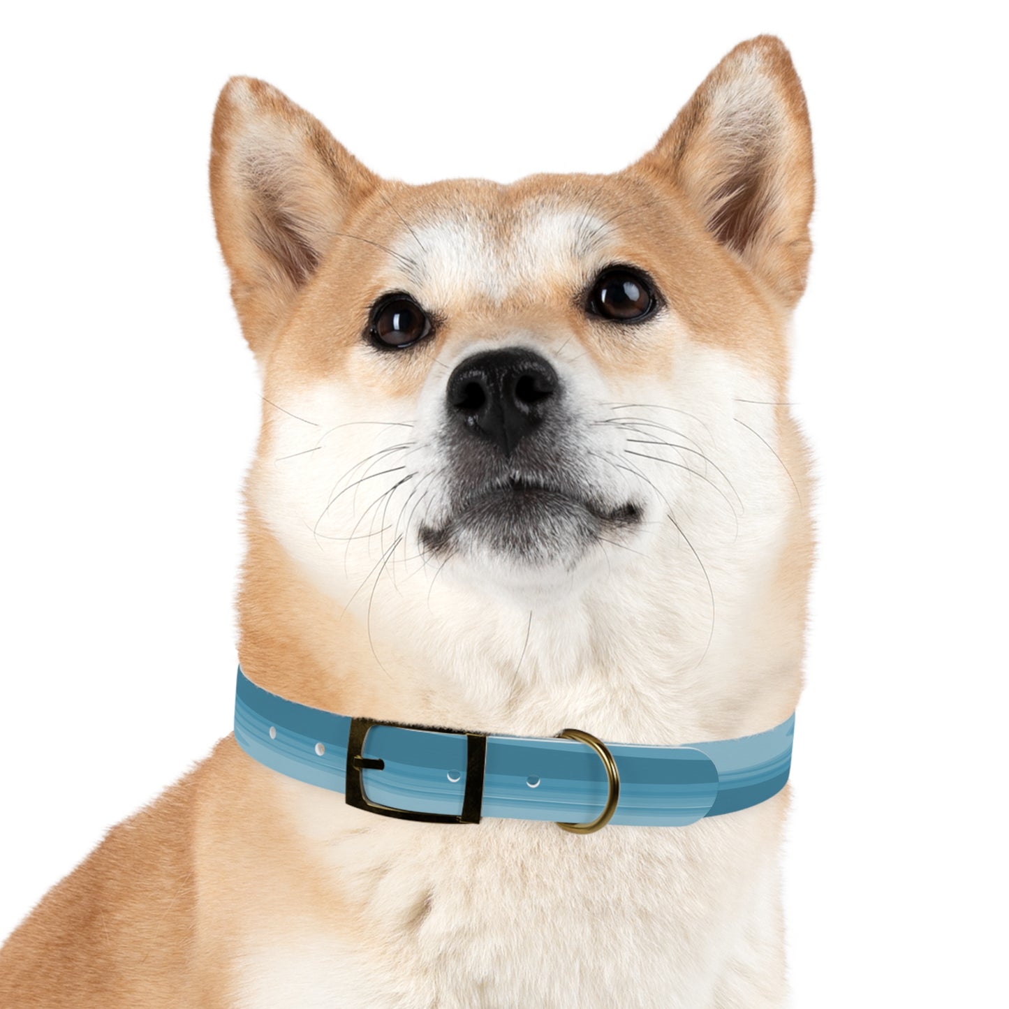 Sky Blue Wavey Extra Large Dog Collar