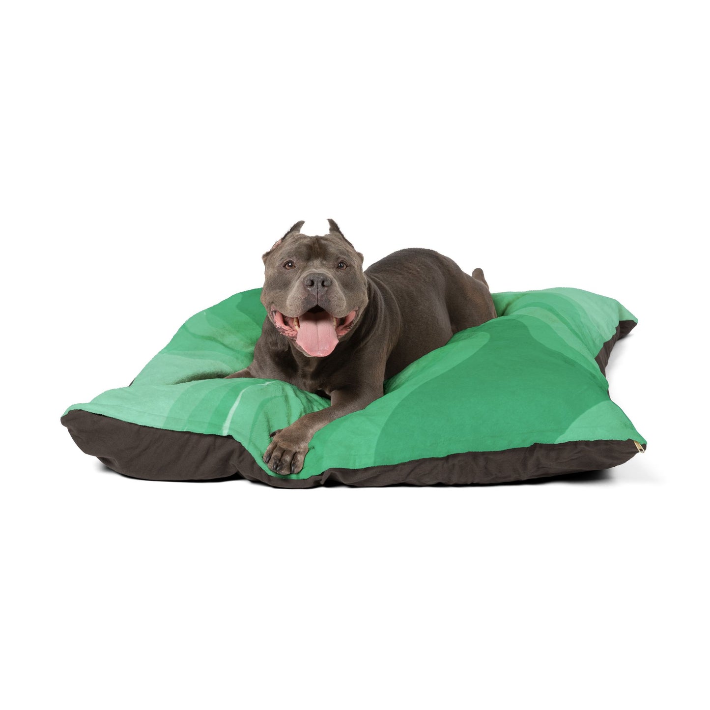 Mint Green Wavey 50" × 40" Pet Bed