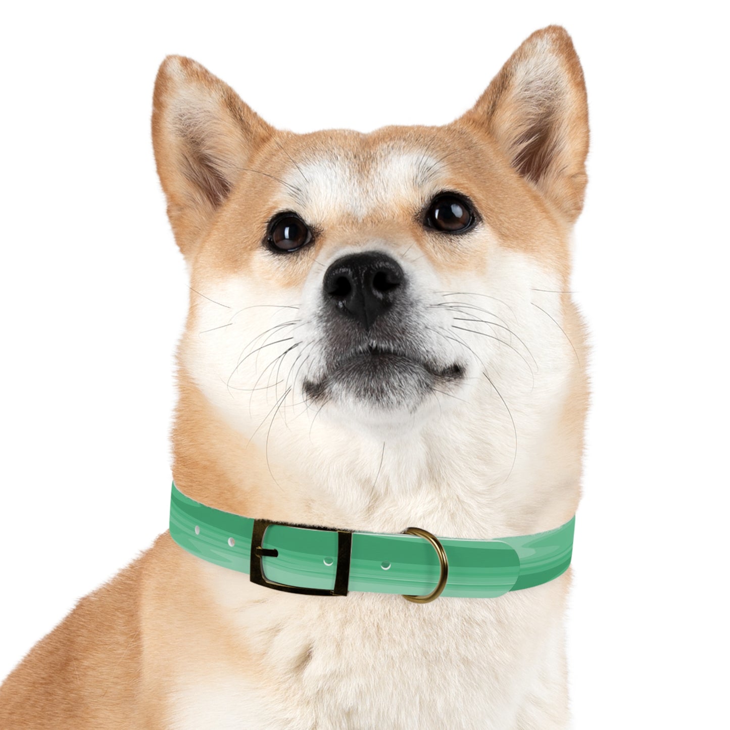 Mint Green Wavey Medium Dog Collar