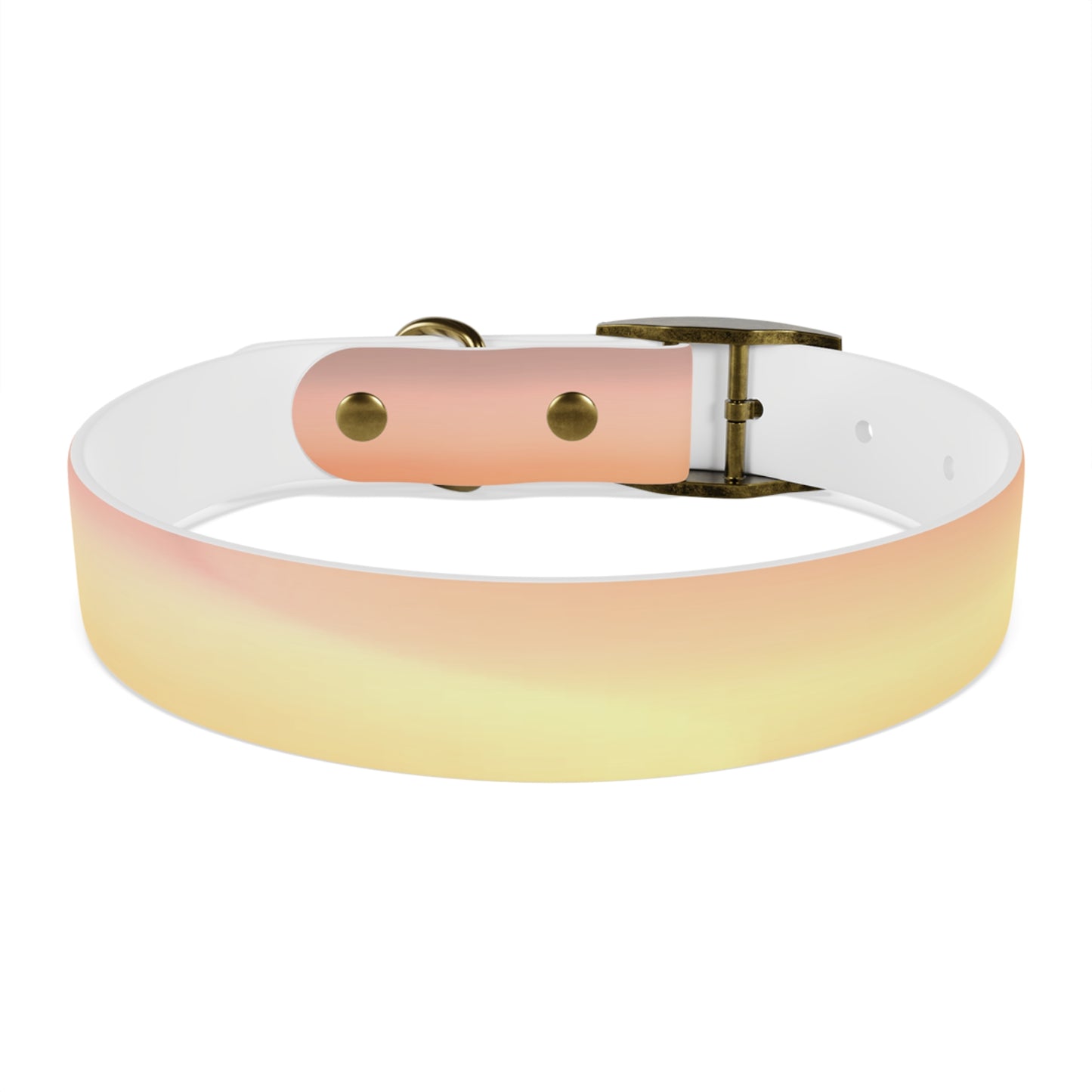 Hot Peach Fade Medium Dog Collar