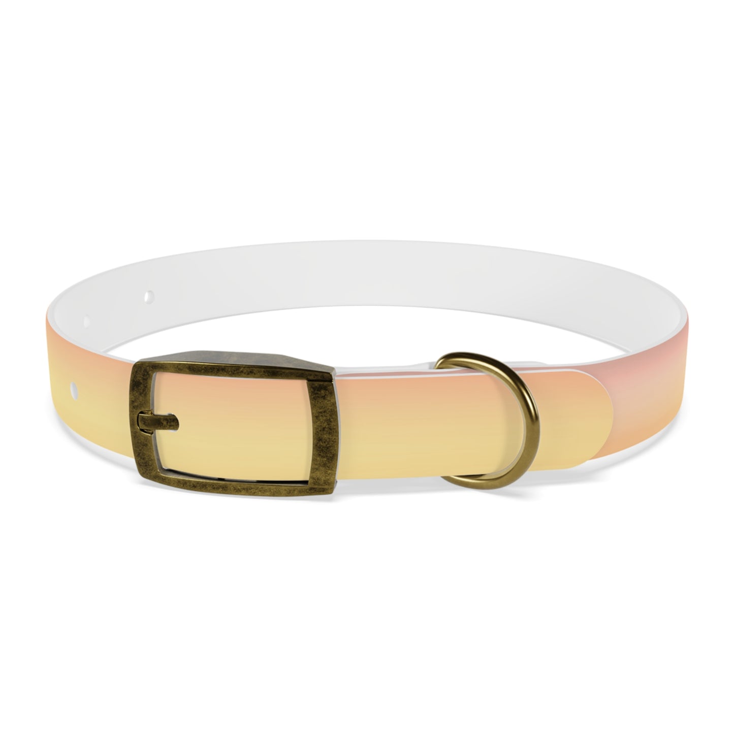 Hot Peach Fade Small Dog Collar