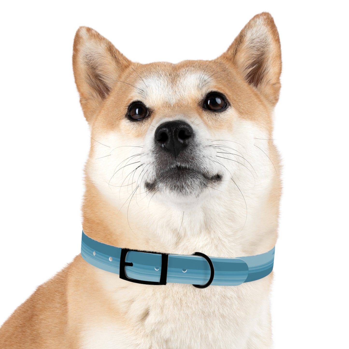 Sky Blue Wavey Extra Large Dog Collar