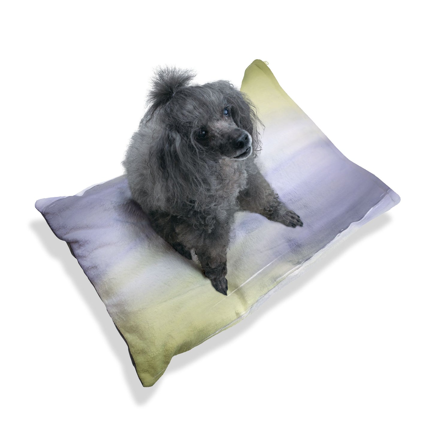 Lavender Sea Golden Fog 28" × 18" Pet Bed