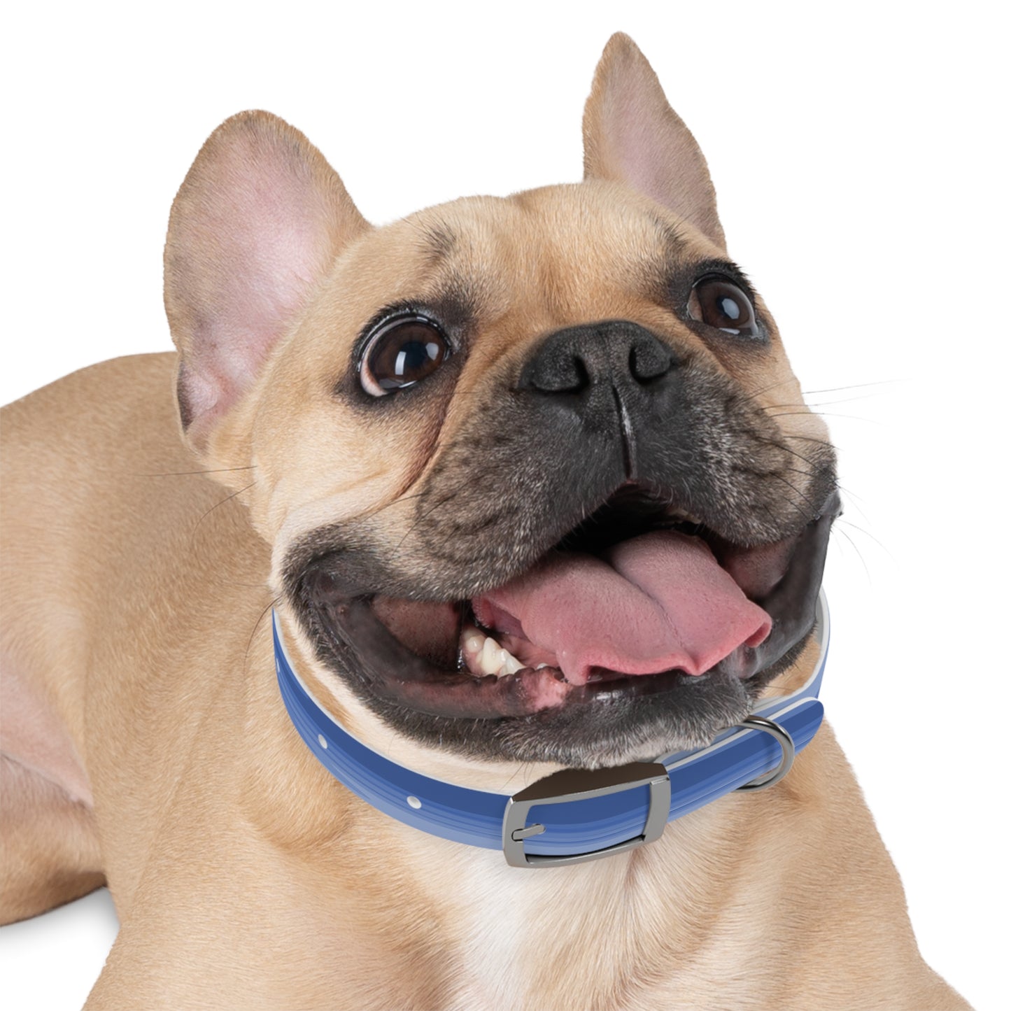 Deep Blue Wavey Small Dog Collar
