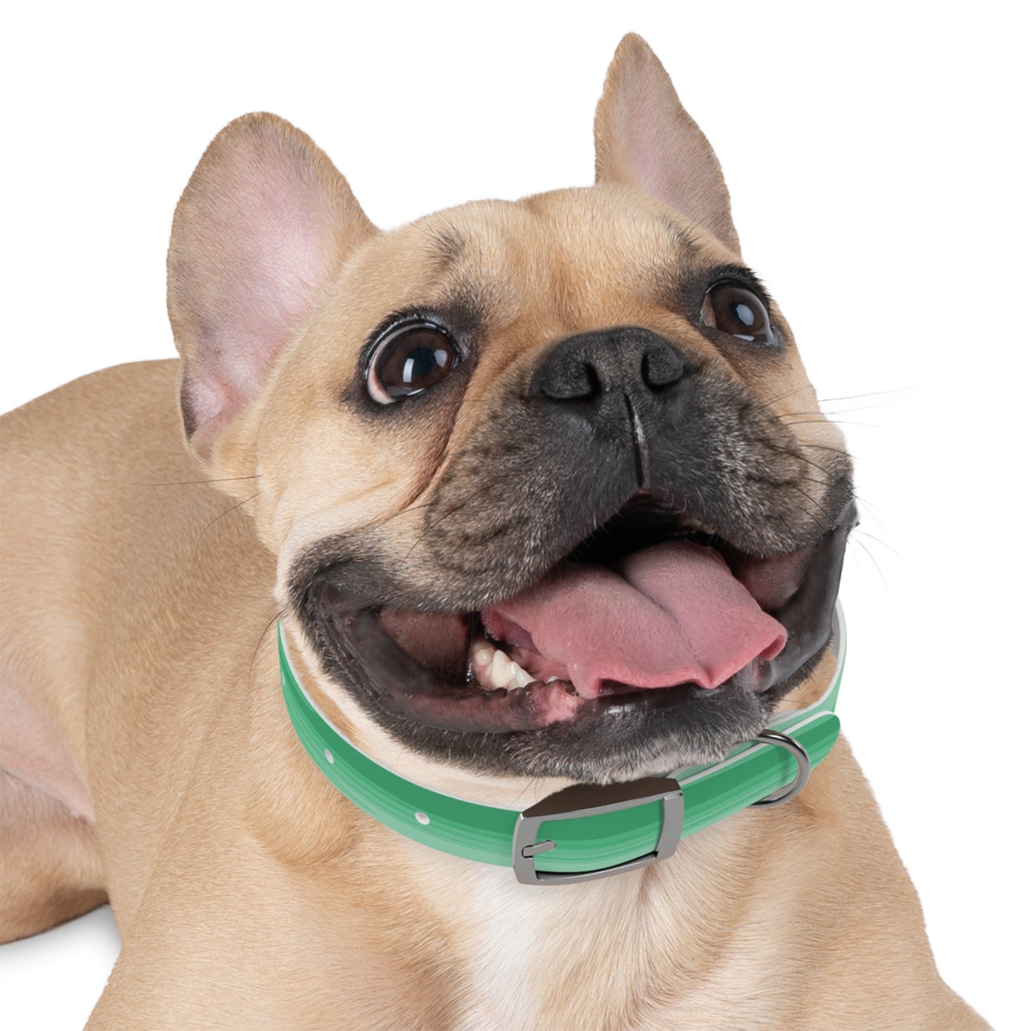 Mint Green Wavey Small Dog Collar