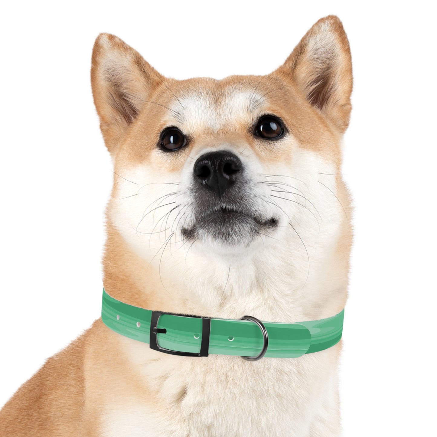 Mint Green Wavey Medium Dog Collar