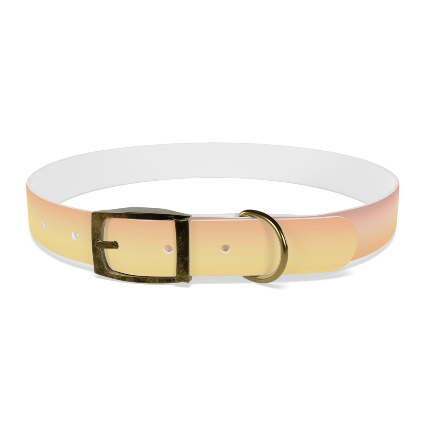 Hot Peach Fade Extra Large Dog Collar