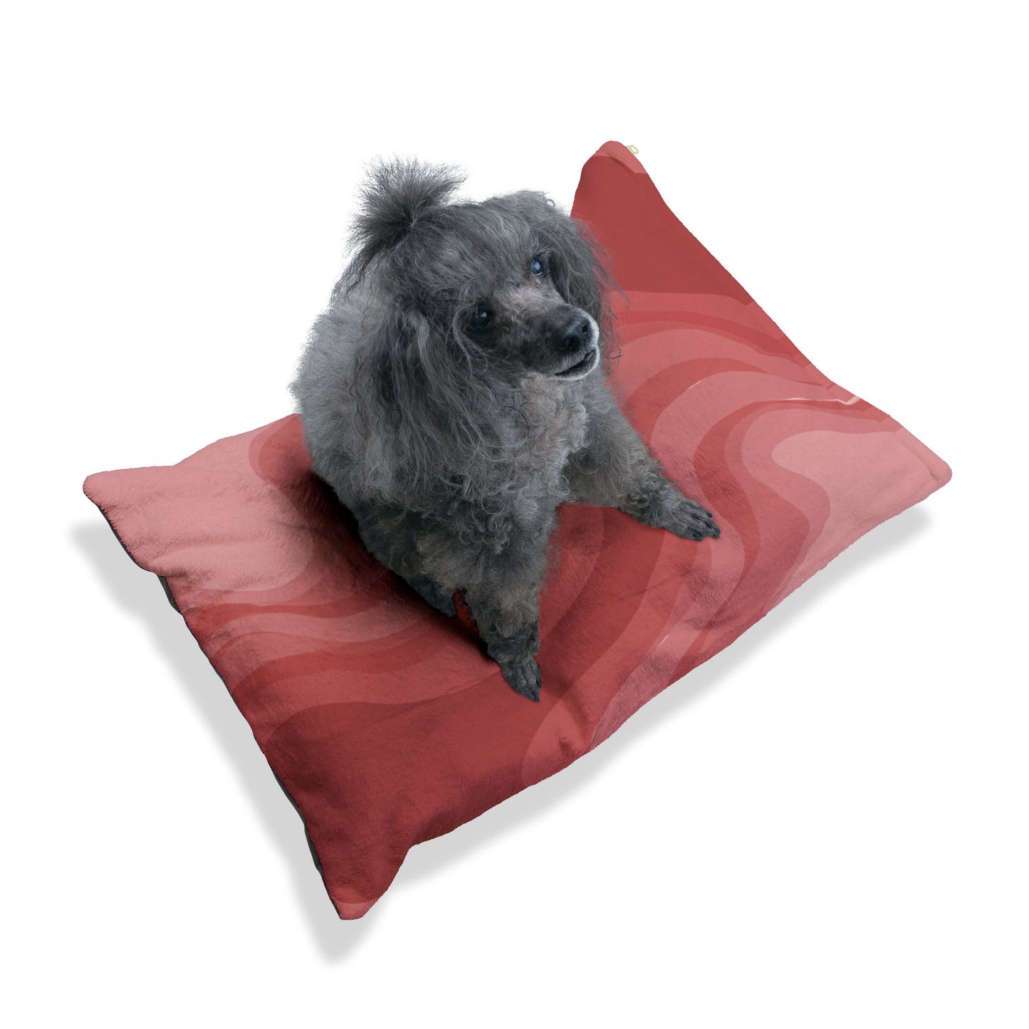 Power Red Wavey 28" × 18" Pet Bed
