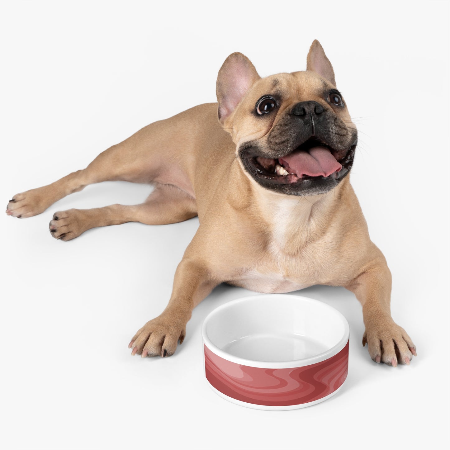 Power Red Wavey 16 oz Pet Bowl