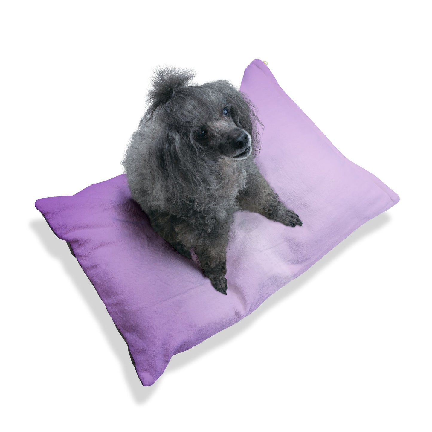 Purple Golden Fade 50" × 40" Pet Bed