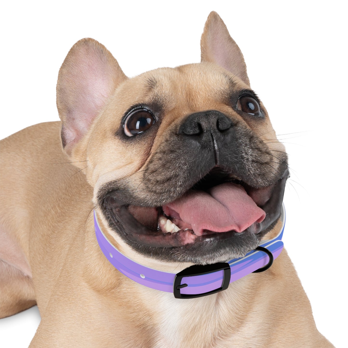 Pastel Purple Family Patches Small Dog Collar