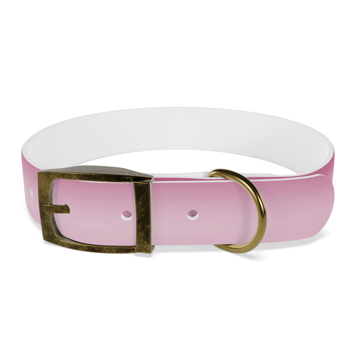 Pink Blush Fade Medium Dog Collar