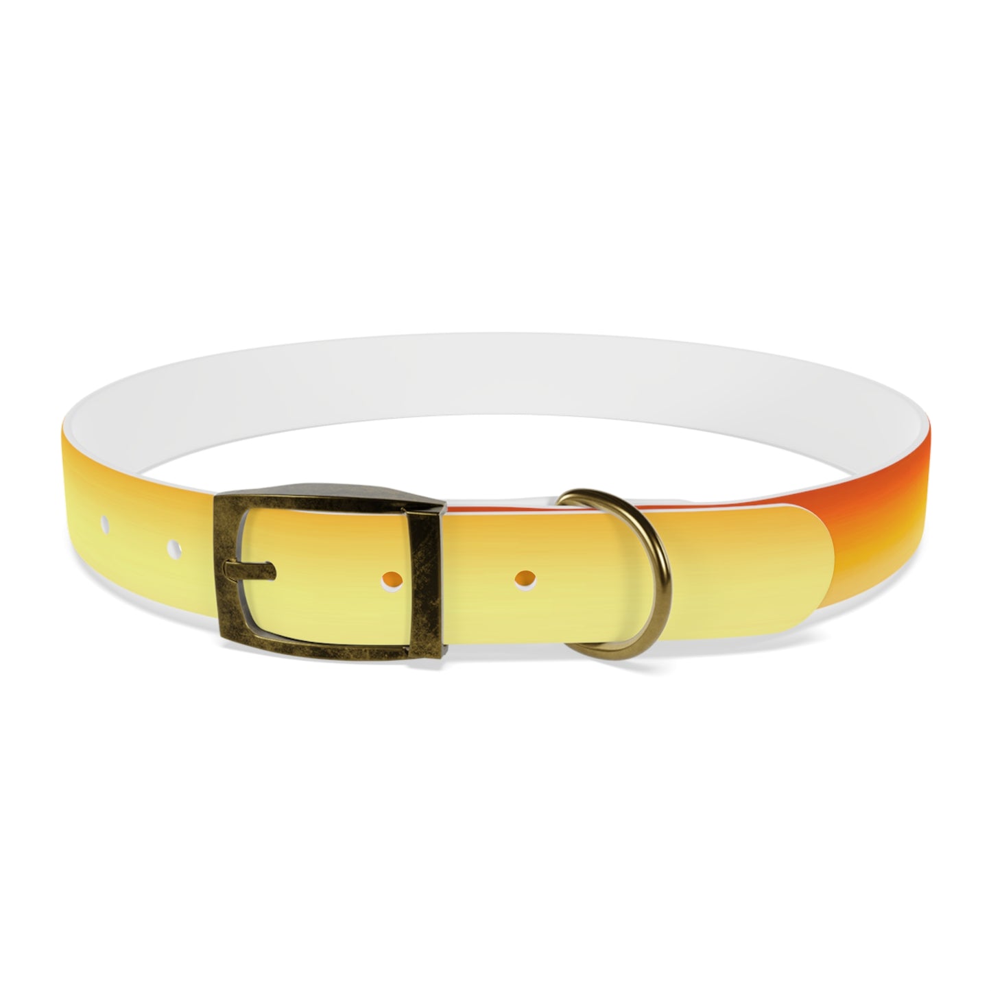 Phoenix Fade Extra Large Dog Collar