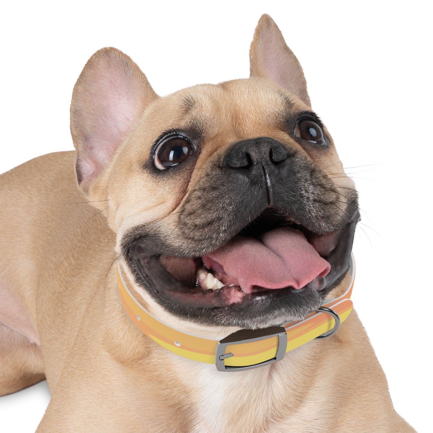 Pastel Bright Oranges Patches Small Dog Collar