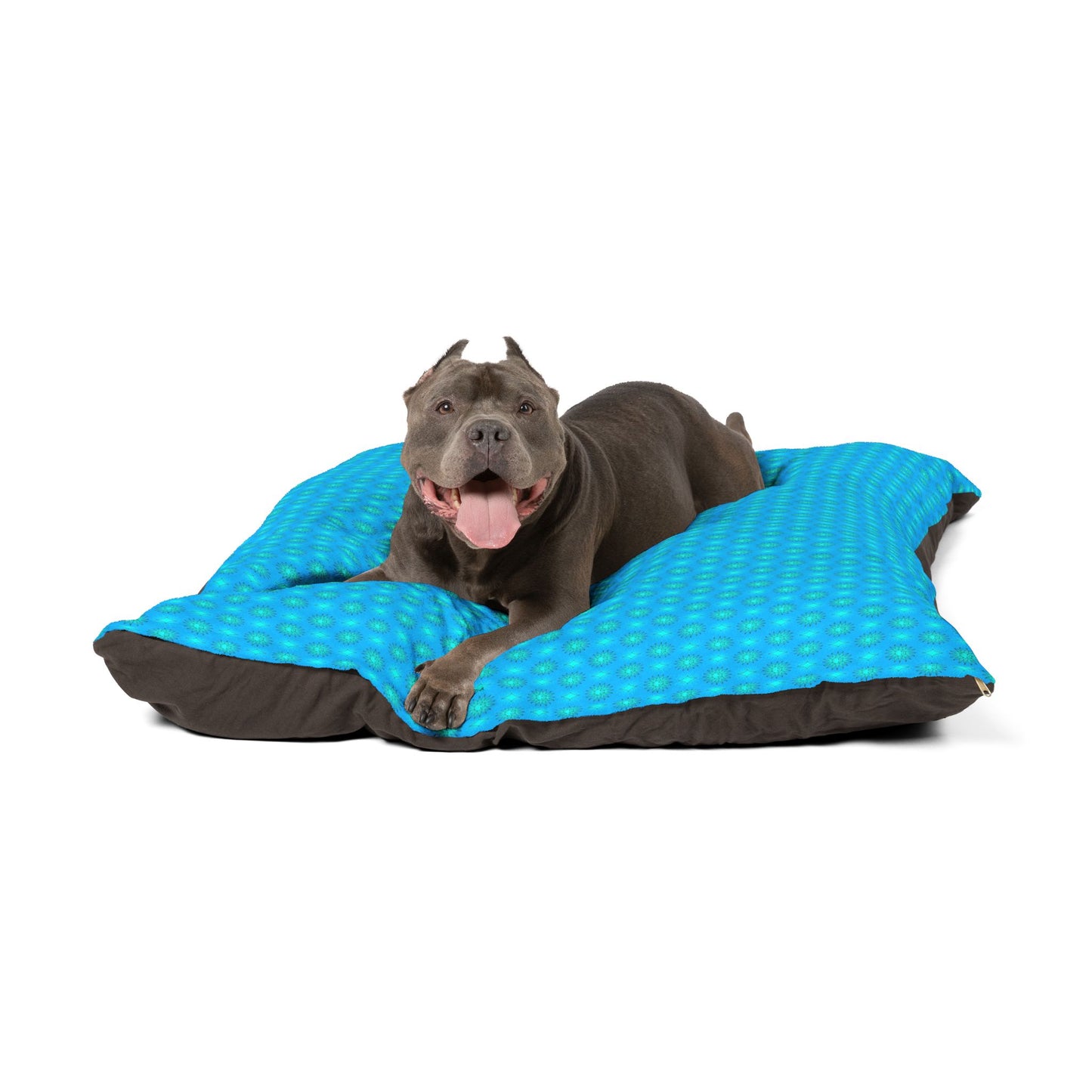 Light Blue Star-crossed Bodies Pet Bed, 50" × 40"
