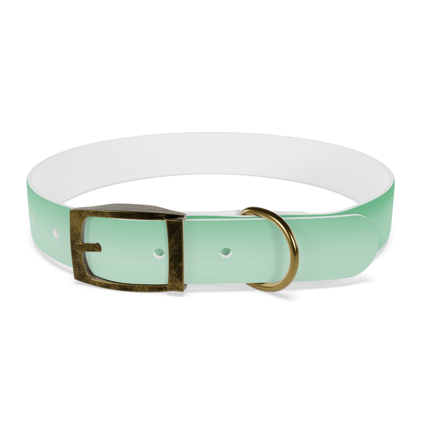 Mint Fade Large Dog Collar