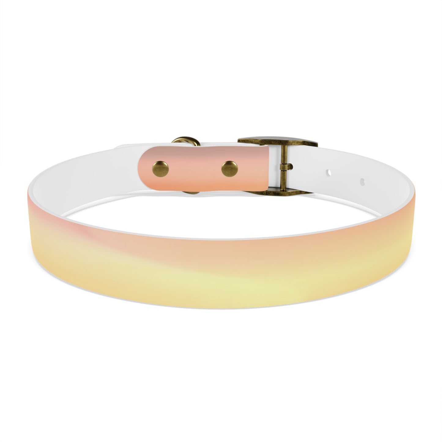 Hot Peach Fade Large Dog Collar