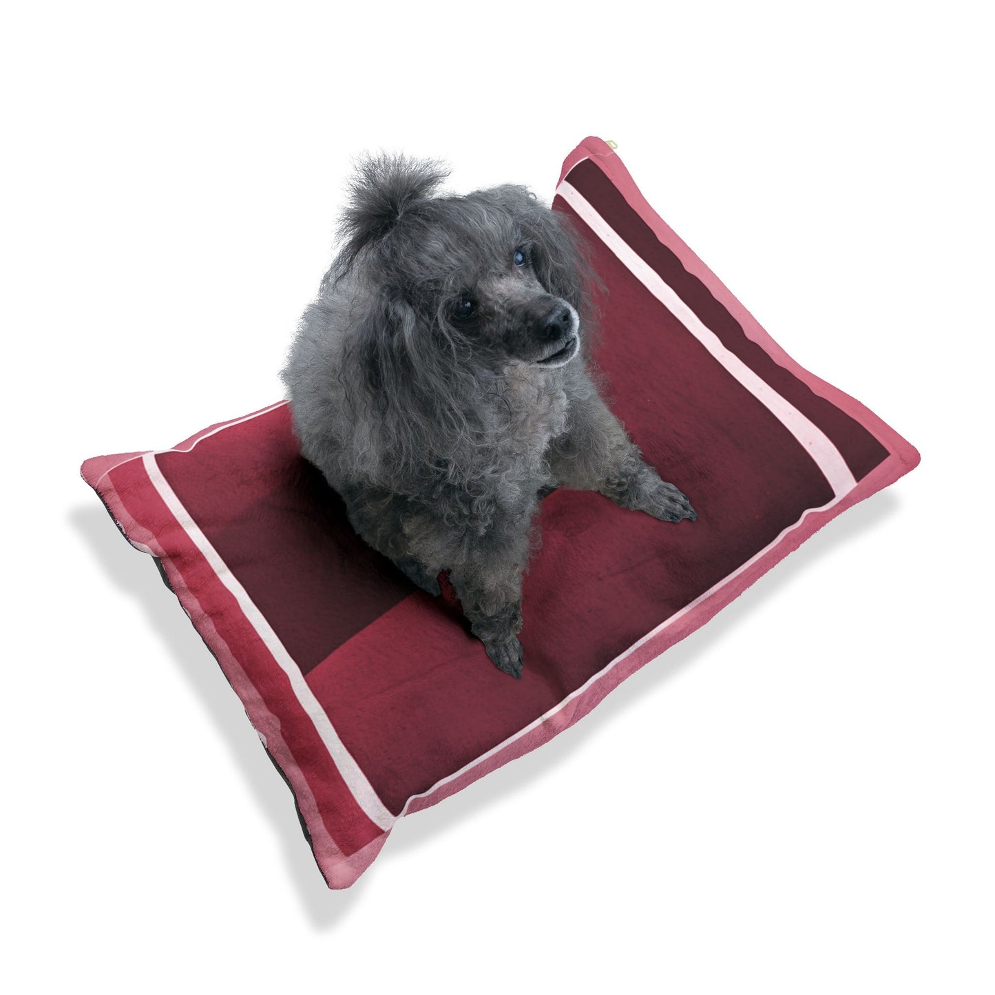 Red Shadow 28" × 18" Pet Bed