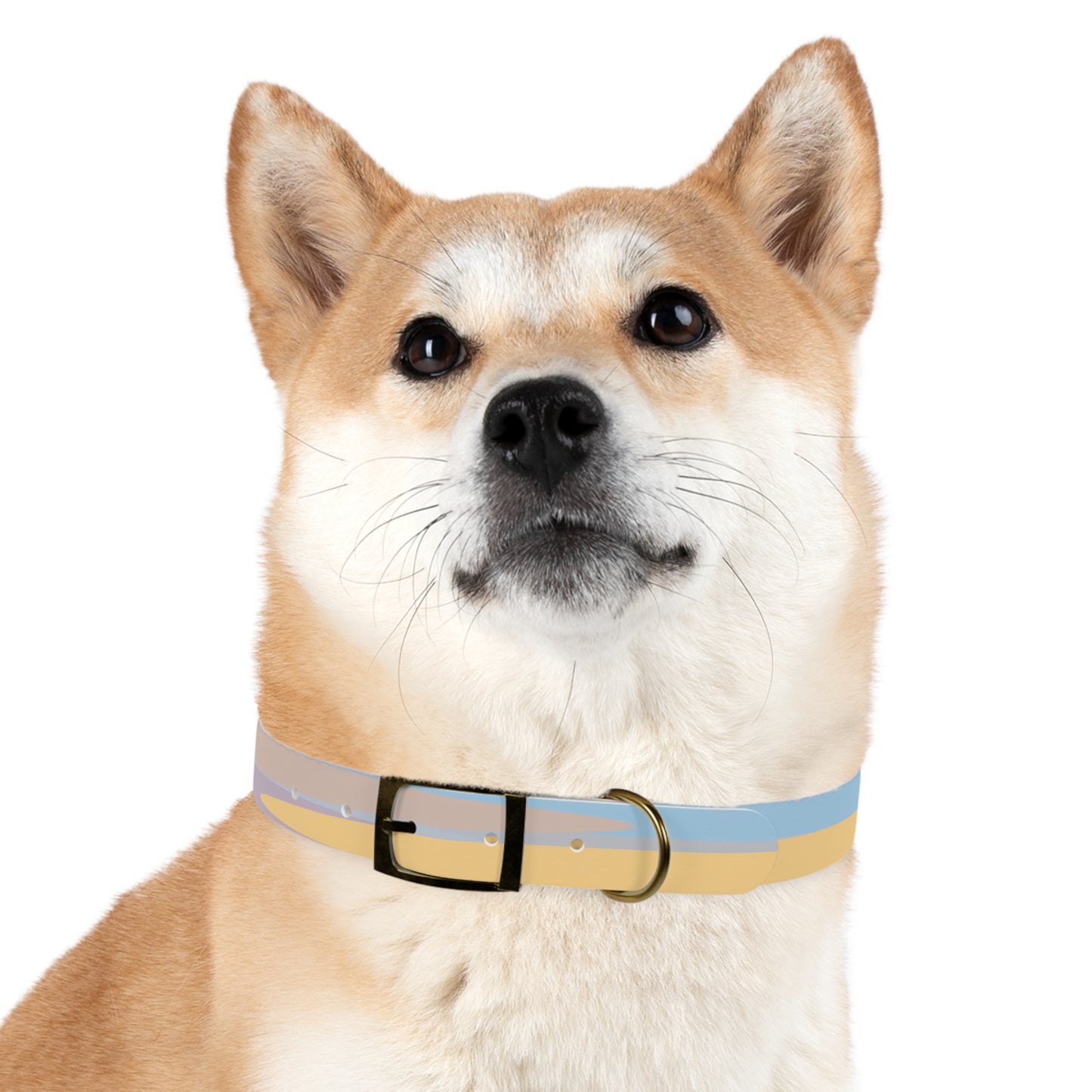 Pastel Baby Blue and Peach Patches Extra Large Dog Collar