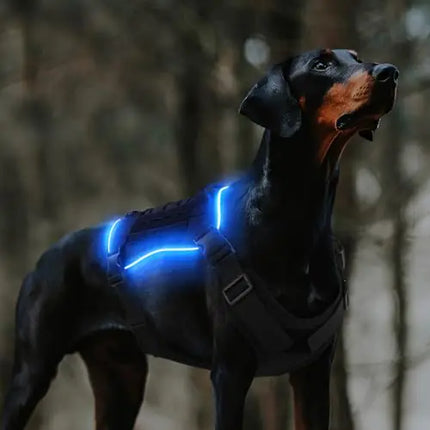 PcEoTllar Rechargeable Light-Up Tactical Dog Harness – RGB LED Adjustable Dog Vest for Night Walking, Hiking, and Training (Size L)