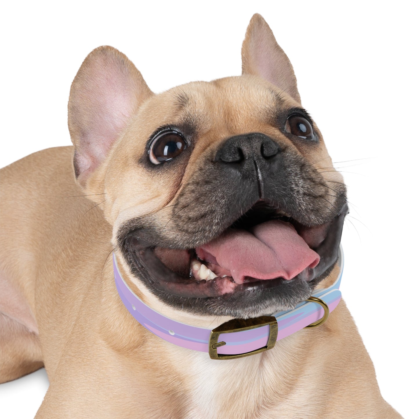 Pastel Purple and Mauve Patches Small Dog Collar