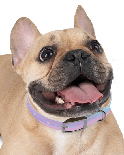 Pastel Purple and Mauve Patches Small Dog Collar