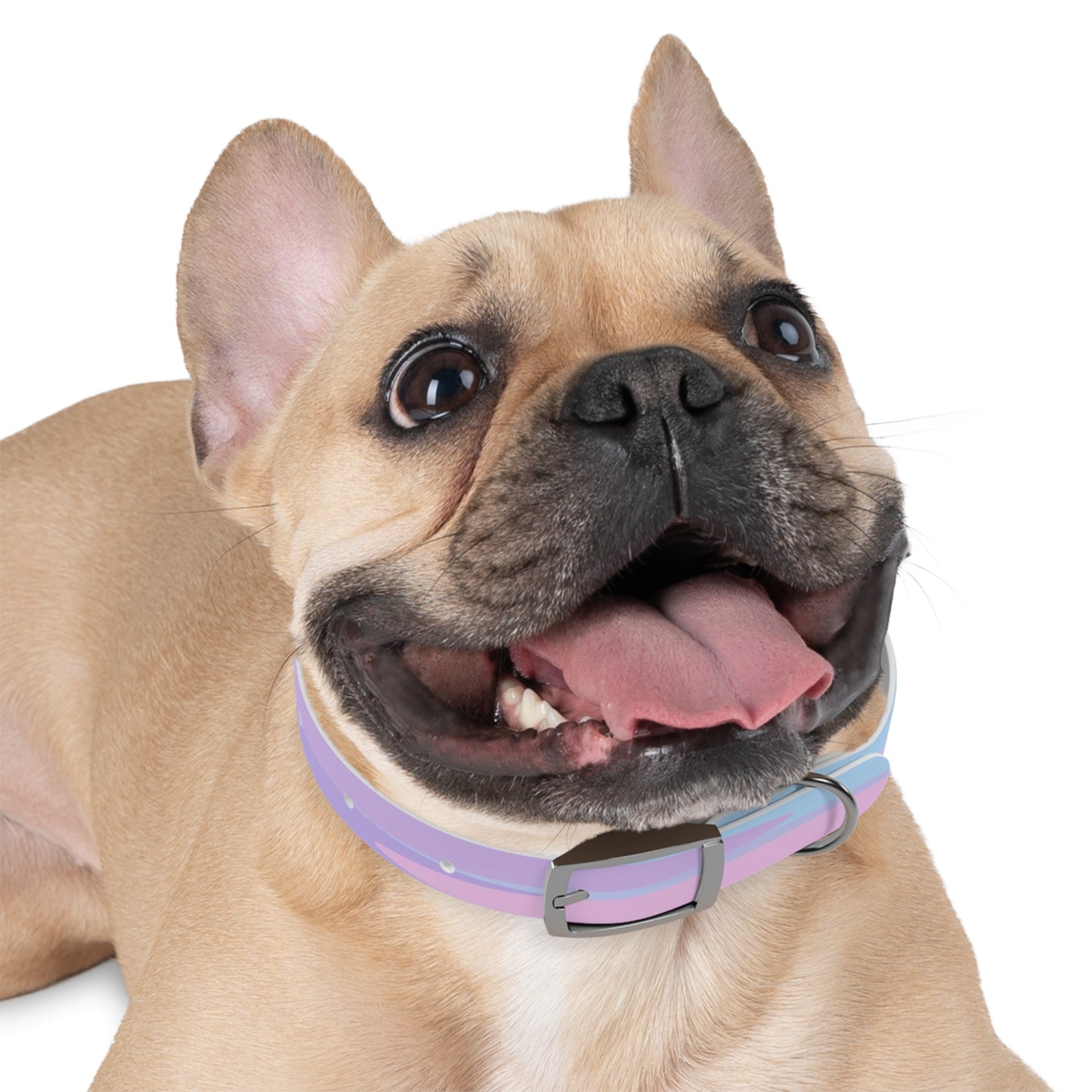 Pastel Purple and Mauve Patches Small Dog Collar