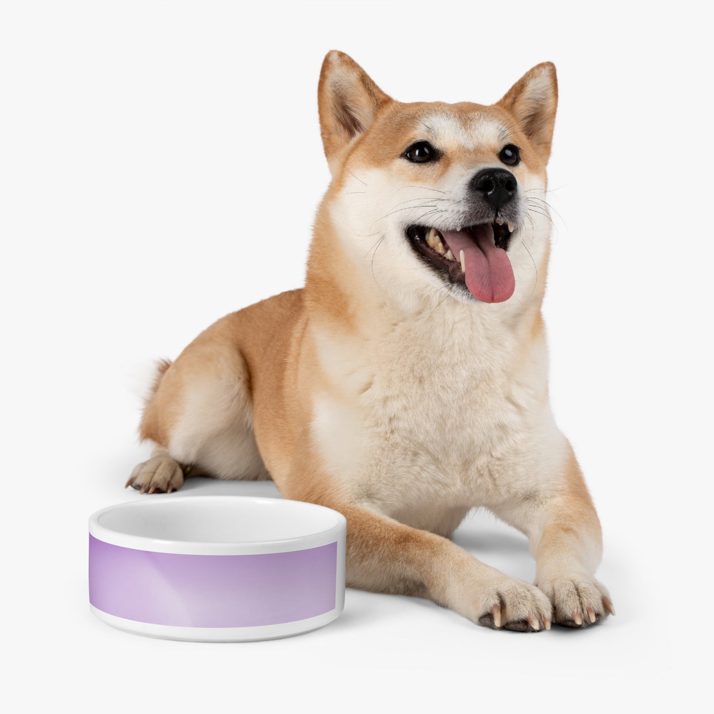 Soft Lavender Fade 16 oz Pet Bowl