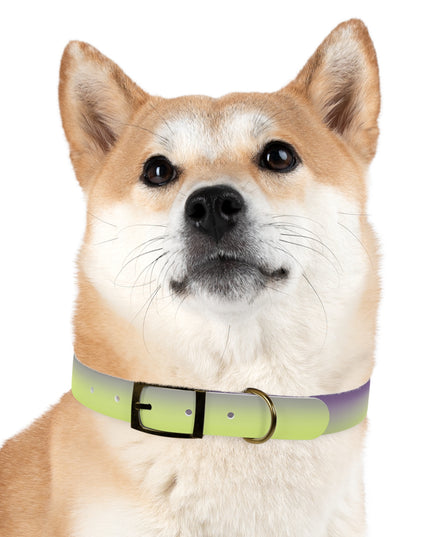 Purple Golden Fade Large Dog Collar