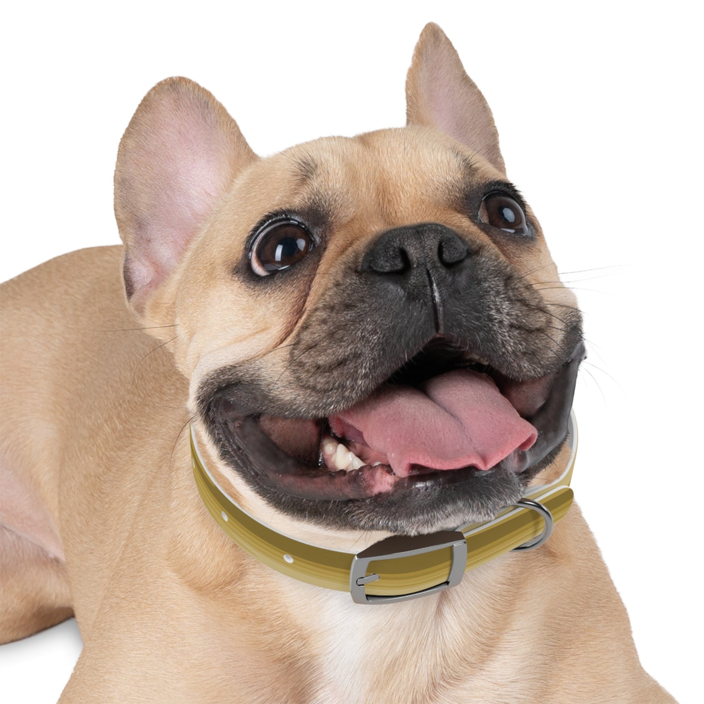 Brown Wavey Small Dog Collar