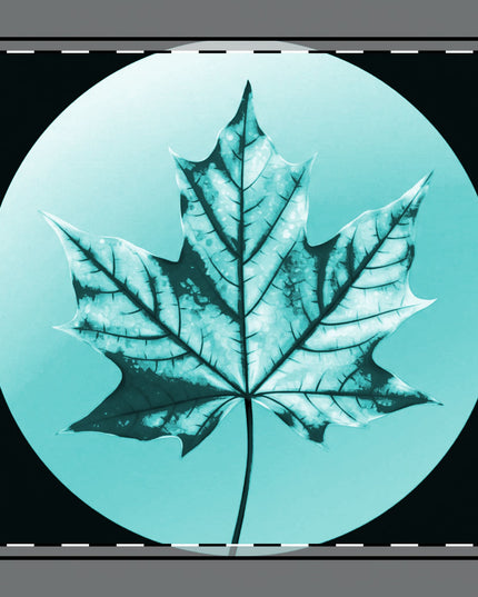 Tif Green Maple Leaf Poly Twill Napkin, 10" x 10"