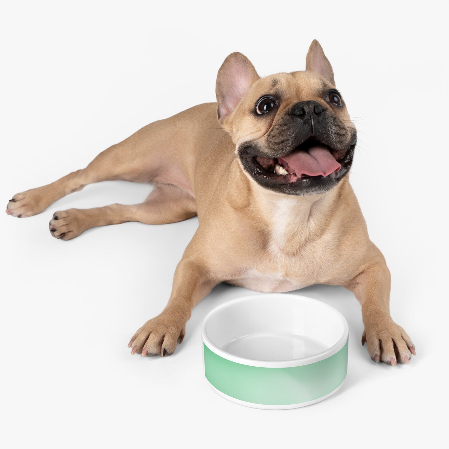 Mint Fade 16 oz Pet Bowl