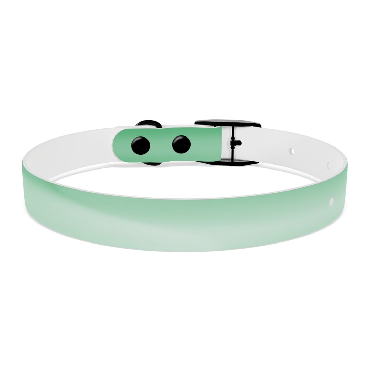 Mint Fade Small Dog Collar