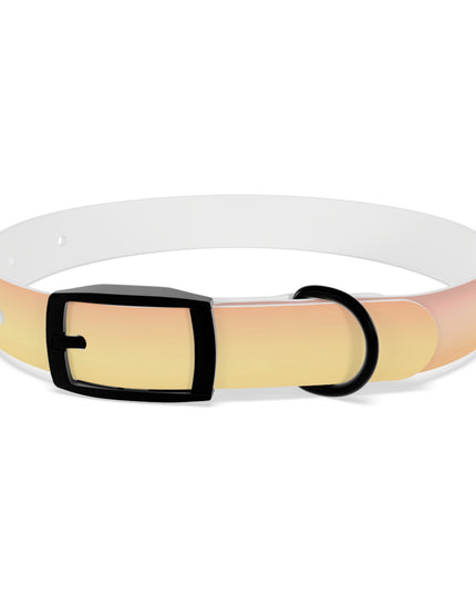 Hot Peach Fade Small Dog Collar