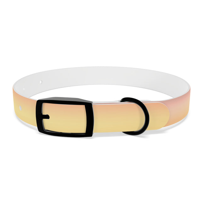 Hot Peach Fade Small Dog Collar