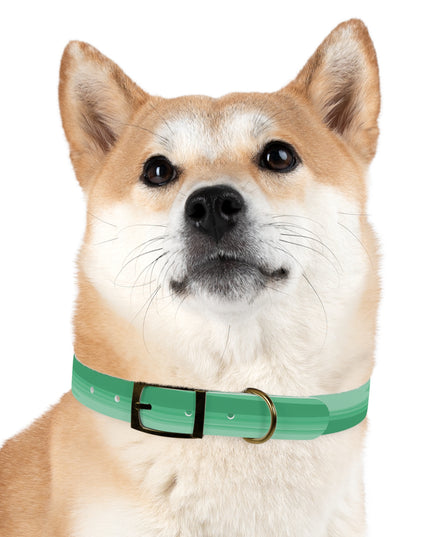 Mint Green Wavey Extra Large Dog Collar