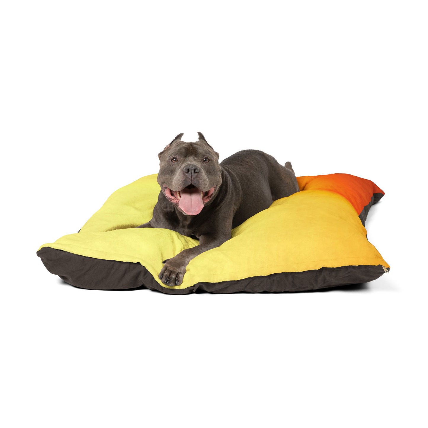 Phoenix Fade 50" × 40" Pet Bed