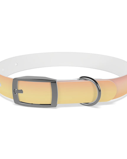 Hot Peach Fade Small Dog Collar