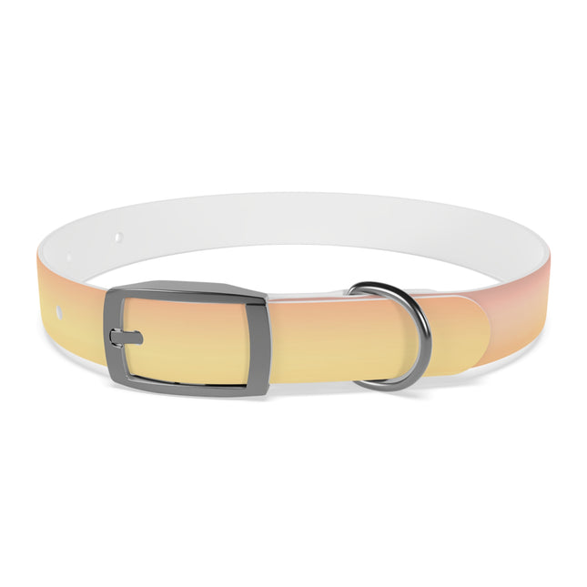 Hot Peach Fade Small Dog Collar