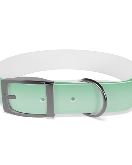 Mint Fade Medium Dog Collar