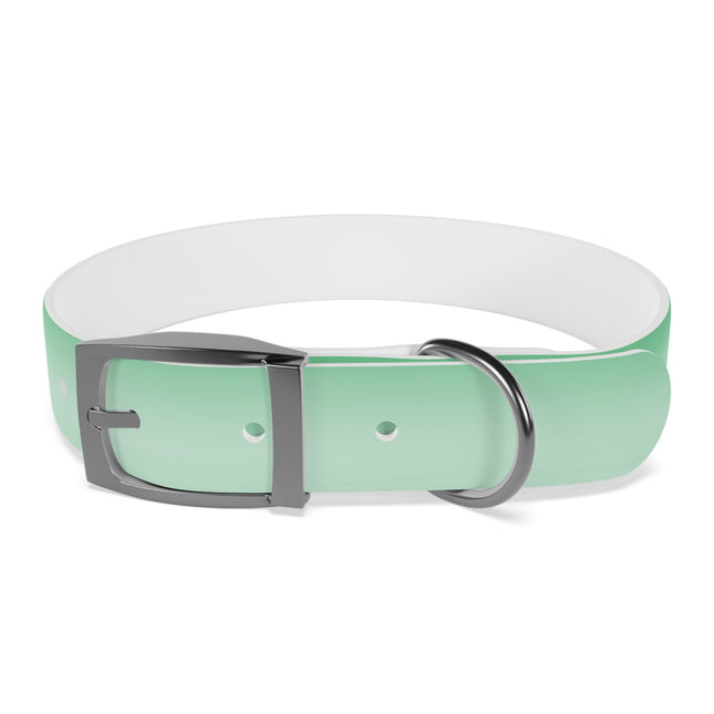 Mint Fade Medium Dog Collar