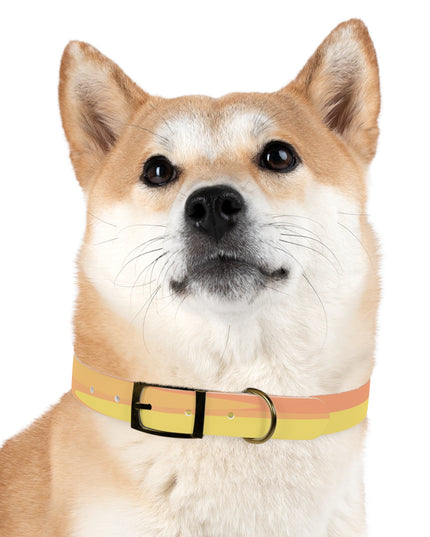 Pastel Bright Oranges Patches Extra Large Dog Collar