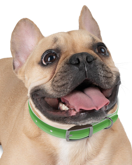 Greenie Meanie Wavey Small Dog Collar