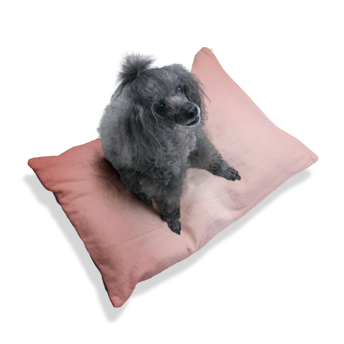 Rose Red Fade 50" × 40" Pet Bed