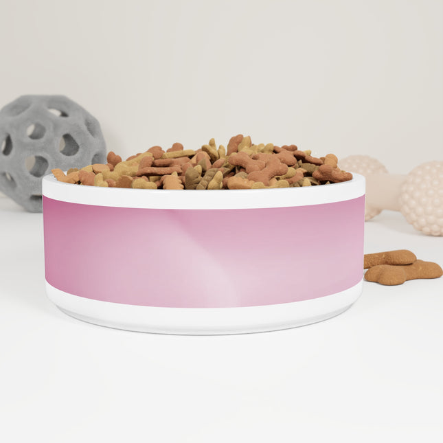 Pink Blush Fade 16 oz Pet Bowl